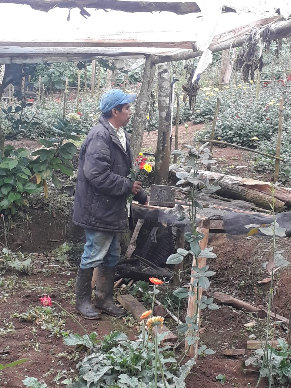 FINCA2